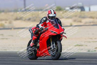 media/Apr-13-2025-Race Pace (Sun) [[7918213ab8]]/Vested/1-Turn 16 Exit (10am)/